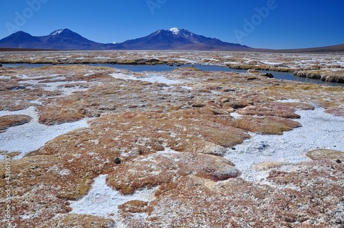 Salzpfanne Surire photo