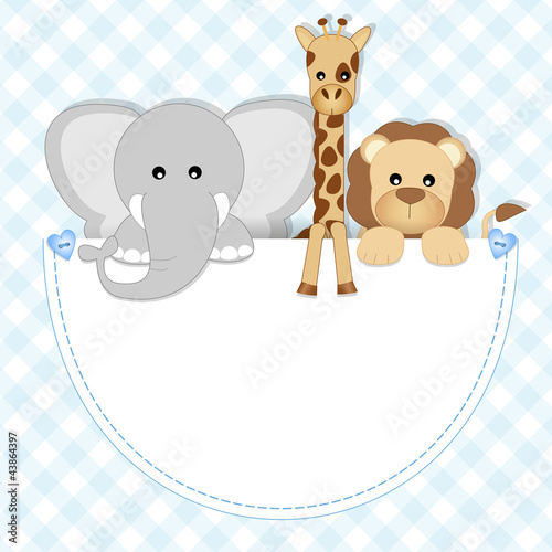 baby animals - leone, elefante, giraffa