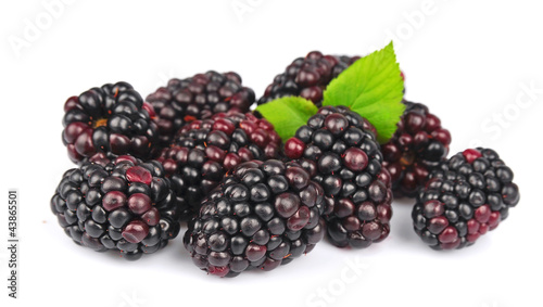 Sweet and juice blackberry