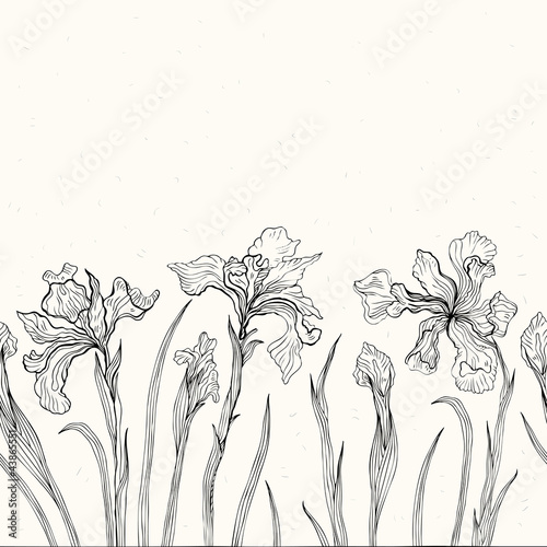 Fototapeta Naklejka Na Ścianę i Meble -  Abstract floral background. Iris.