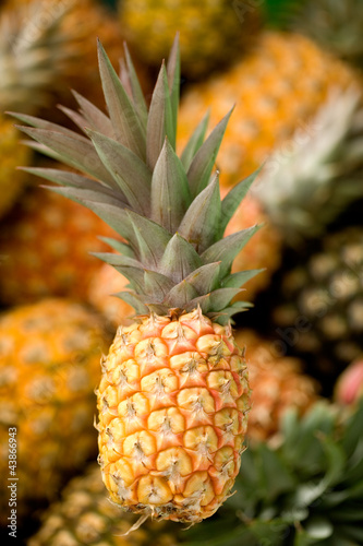 Fresh pineapples, full frame