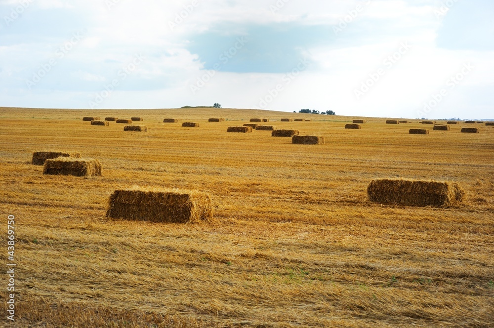 Rectangular haystacks on a field