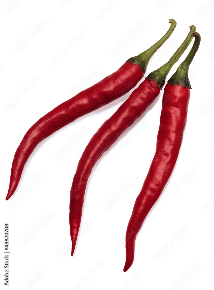 Three chili peppers isolated on white background Three chili peppers isolated on white background