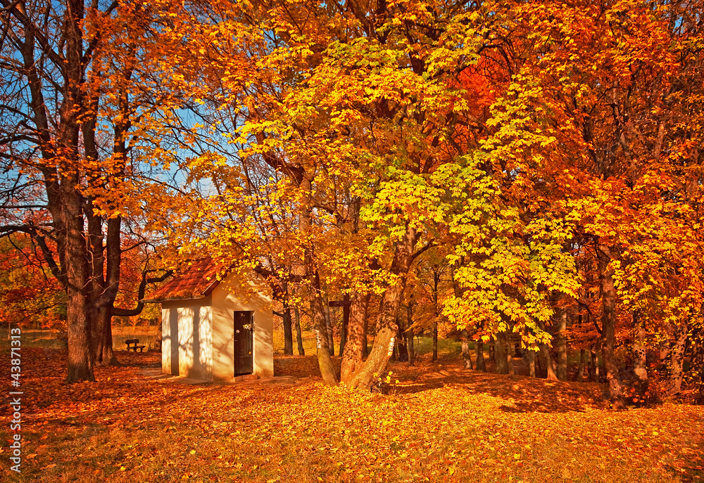 Small house in the forest in autumn Small house in the forest in autumn