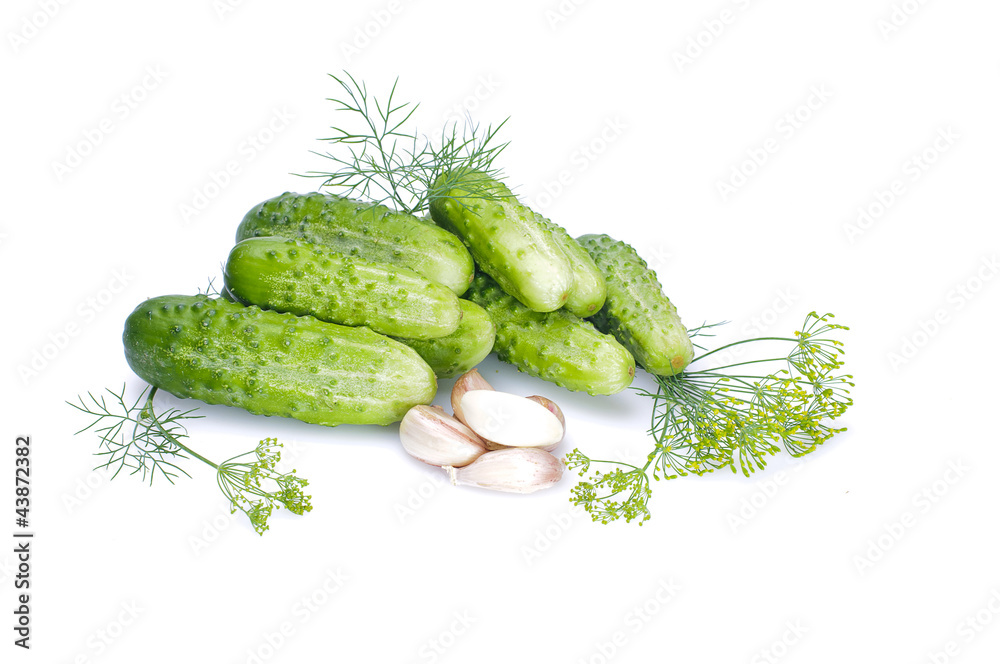 cucumber