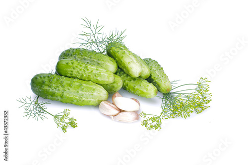Obraz na płótnie cucumber w salonie