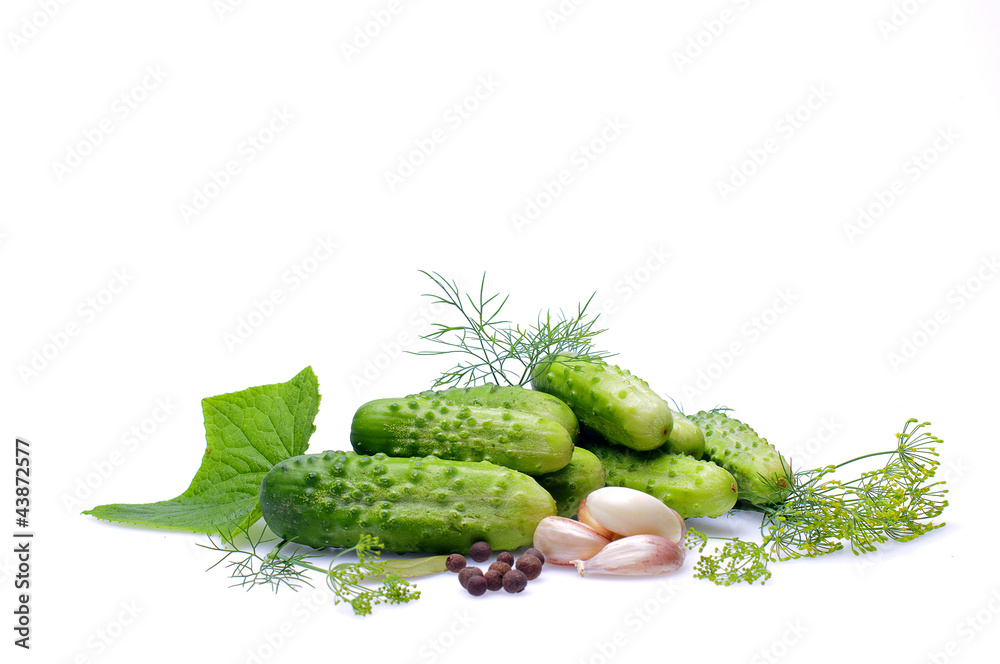 Fresh green cucumbers