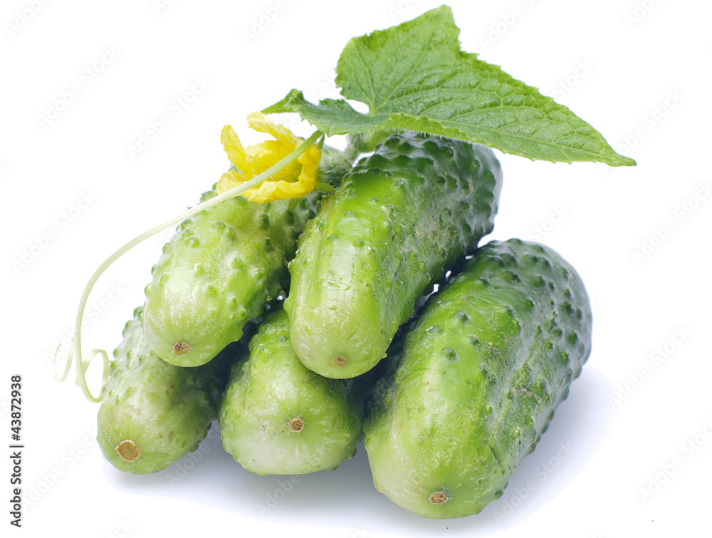 cucumbers