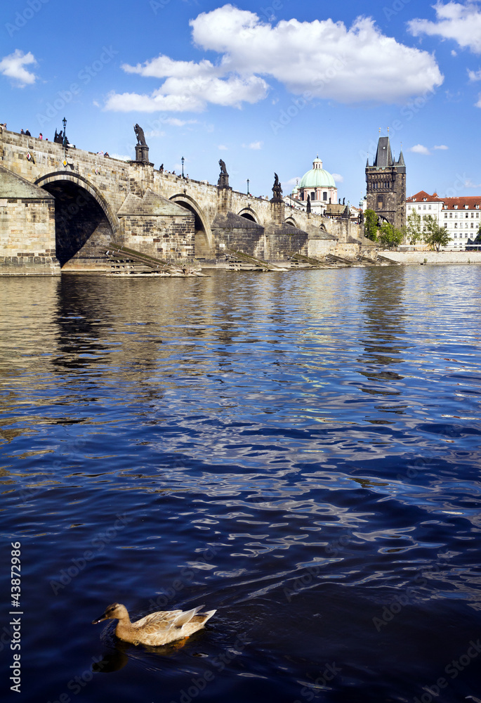 Obraz premium Charles Bridge in Prague
