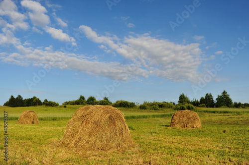Valokuva haystack on meadow