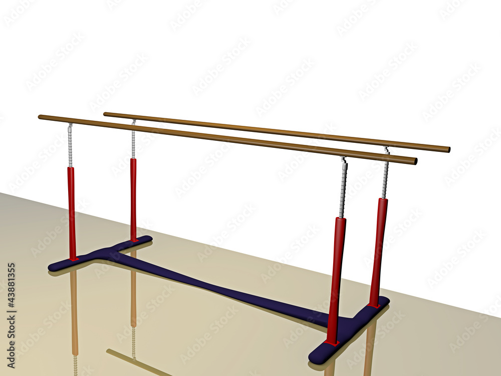 sports device_ingot on white background - 3D sports device_ingot on white background - 3D