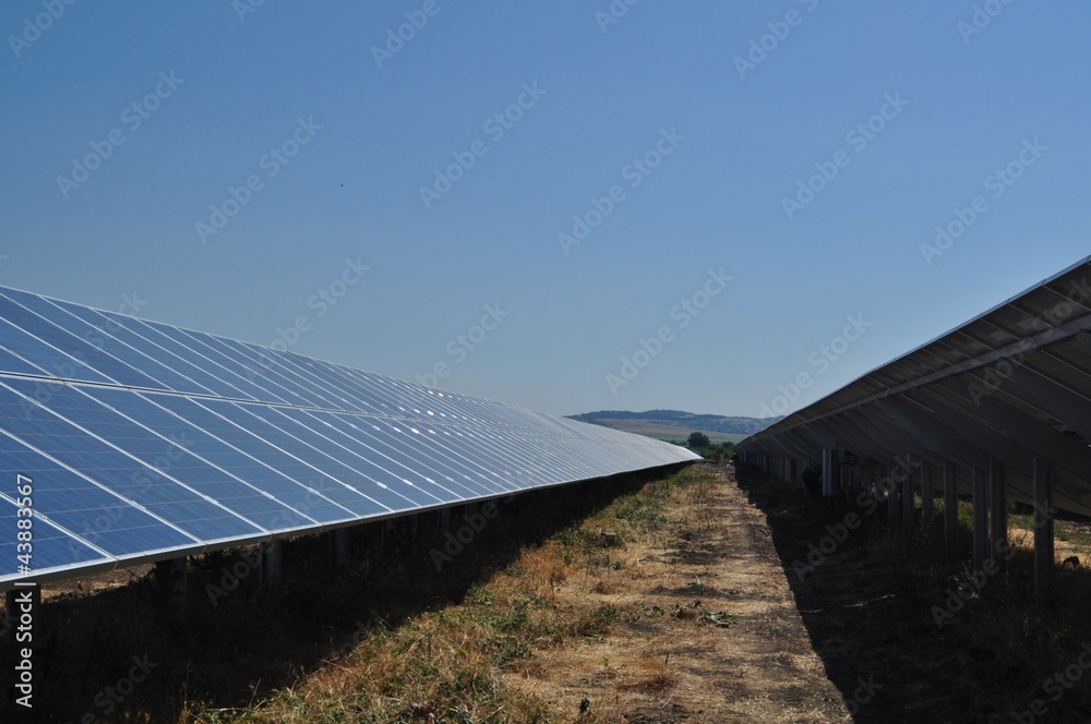 Photovoltaic farm