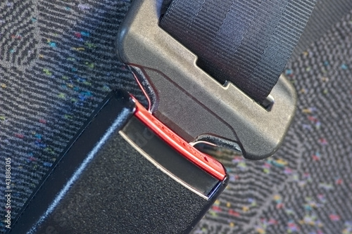Seat Belt