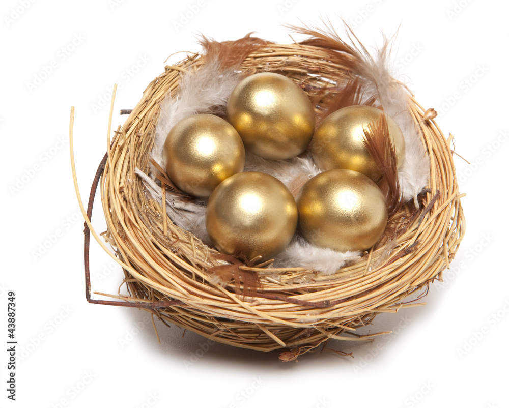 Golden egg in the nest isolated Golden egg in the nest isolated