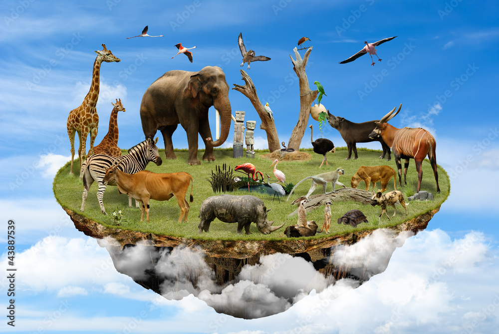 Naklejka premium Natural Reserve concept