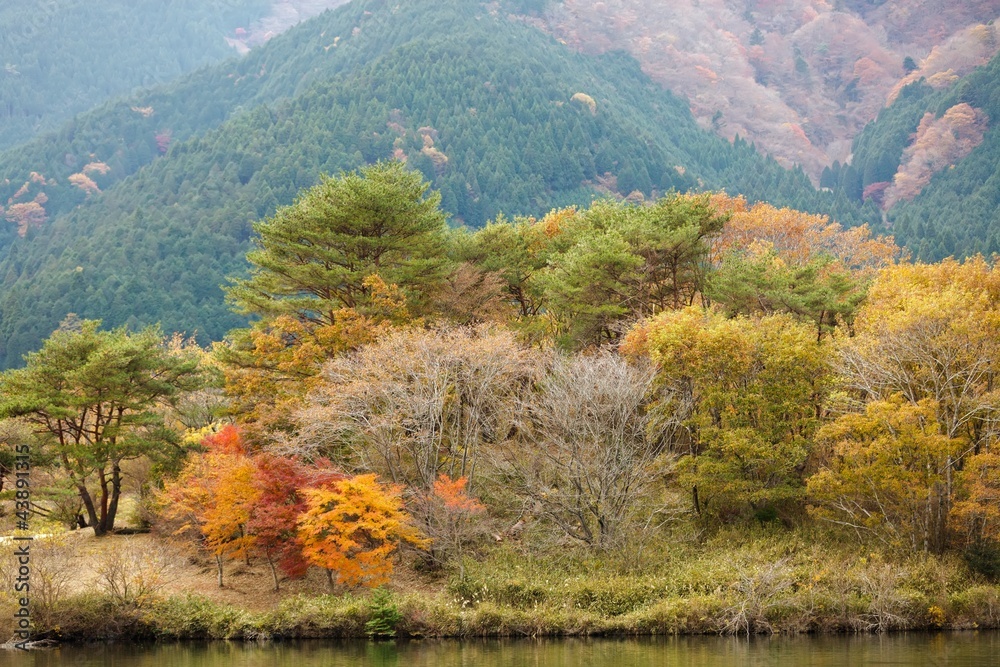 Japanese country autumn