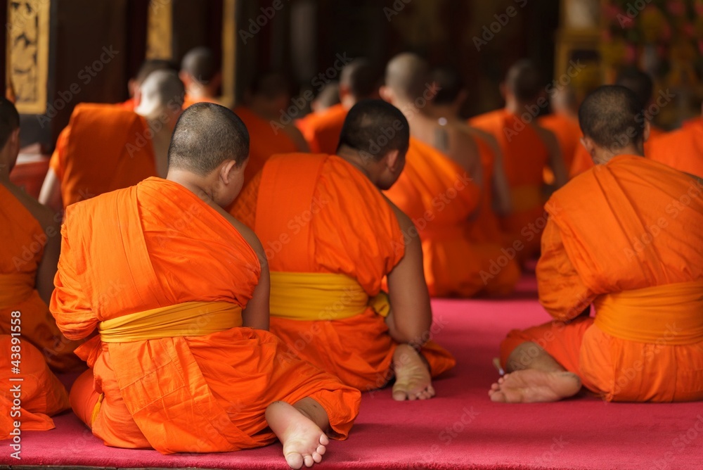 Obraz premium thai monks praying
