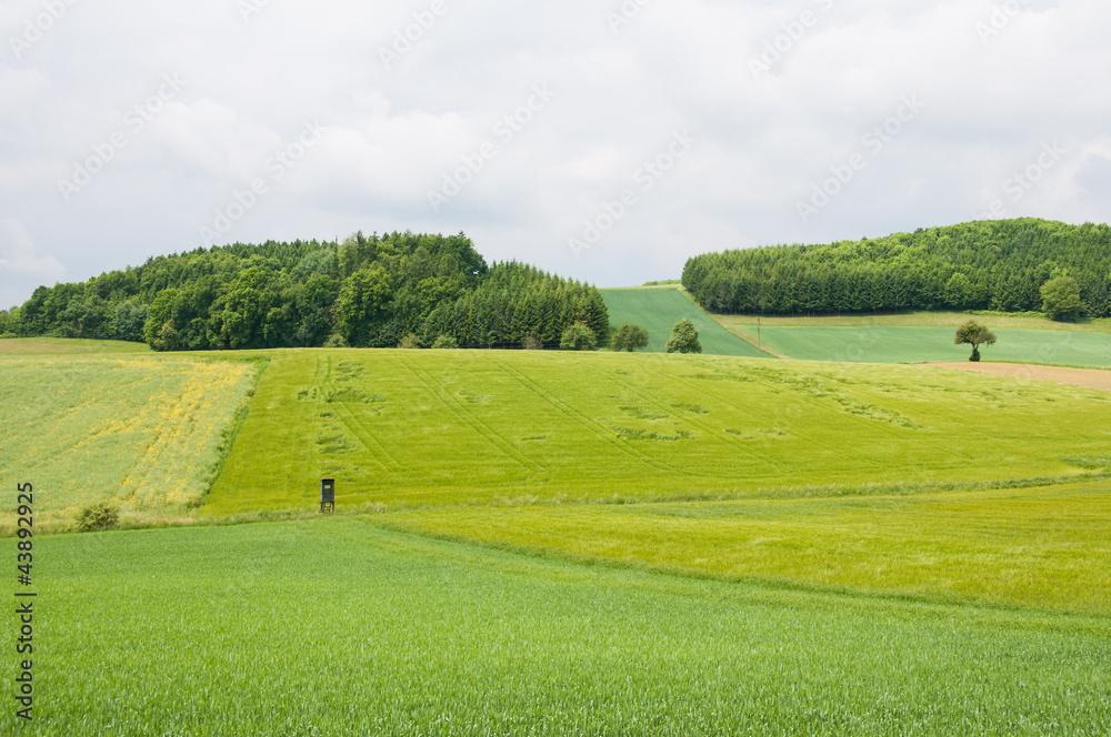 Crop fields of Austria