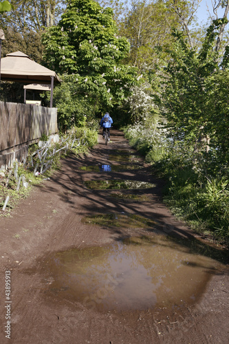 Footpath with big puddles