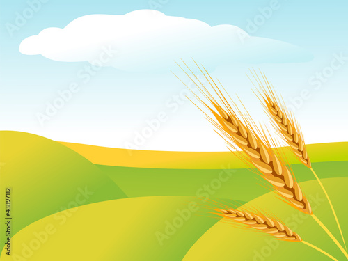 Rural landscape