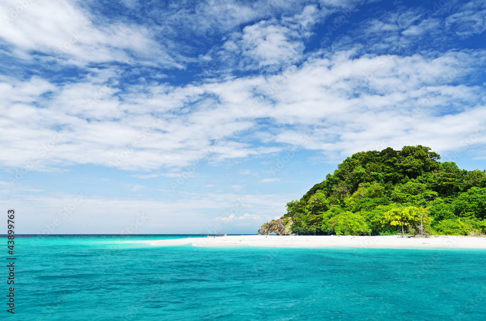 Fototapeta premium beach