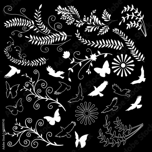 White vector flowers patterns