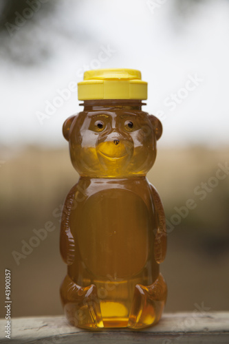 Single Honey Bear