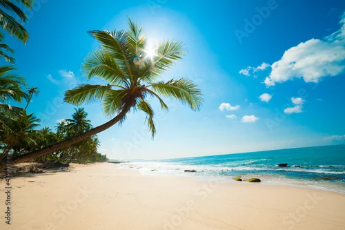 Panel kuchenny z motywem Tropical beach