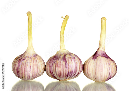 young garlic isolated on white background