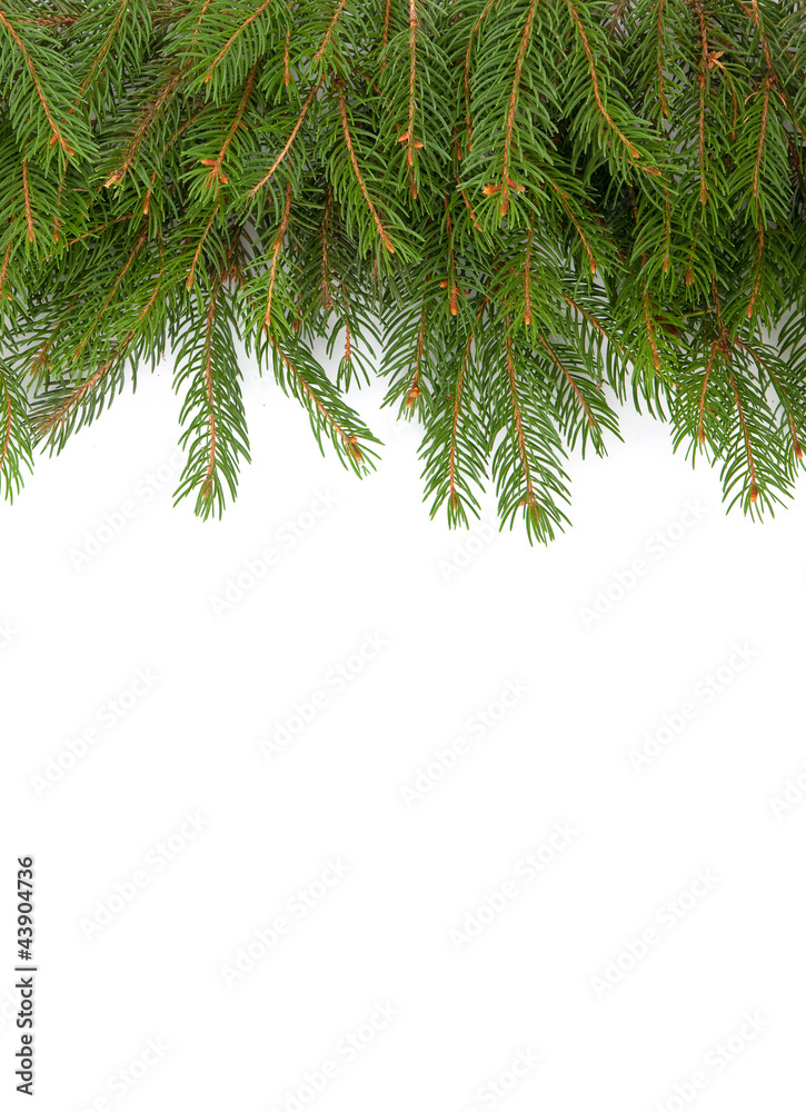 Christmas framework Christmas framework
