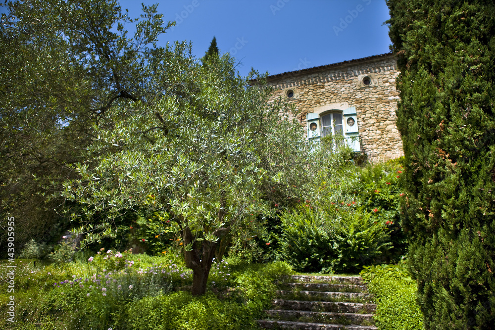 Maison, campagne, jardin, immobilier, campagne