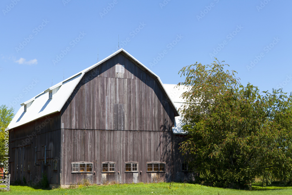 American Farm American Farm