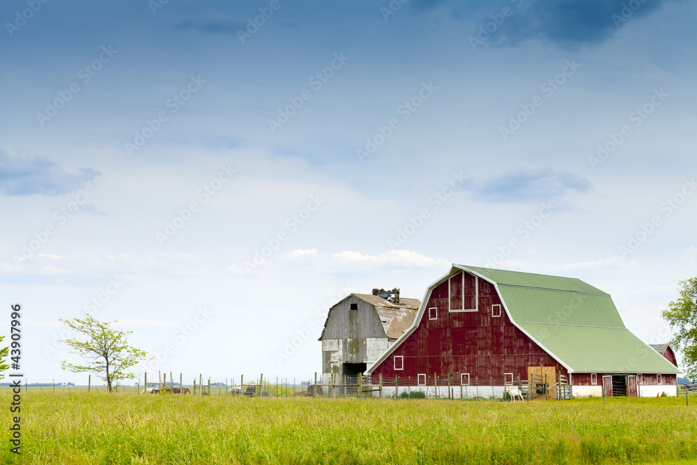 Farm Farm