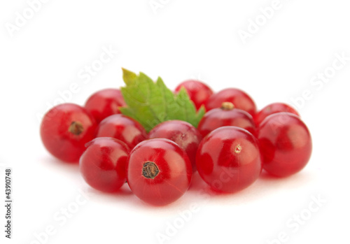 Red currant berry