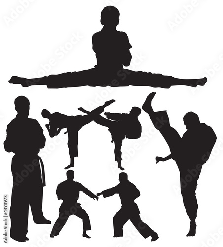 karate vector