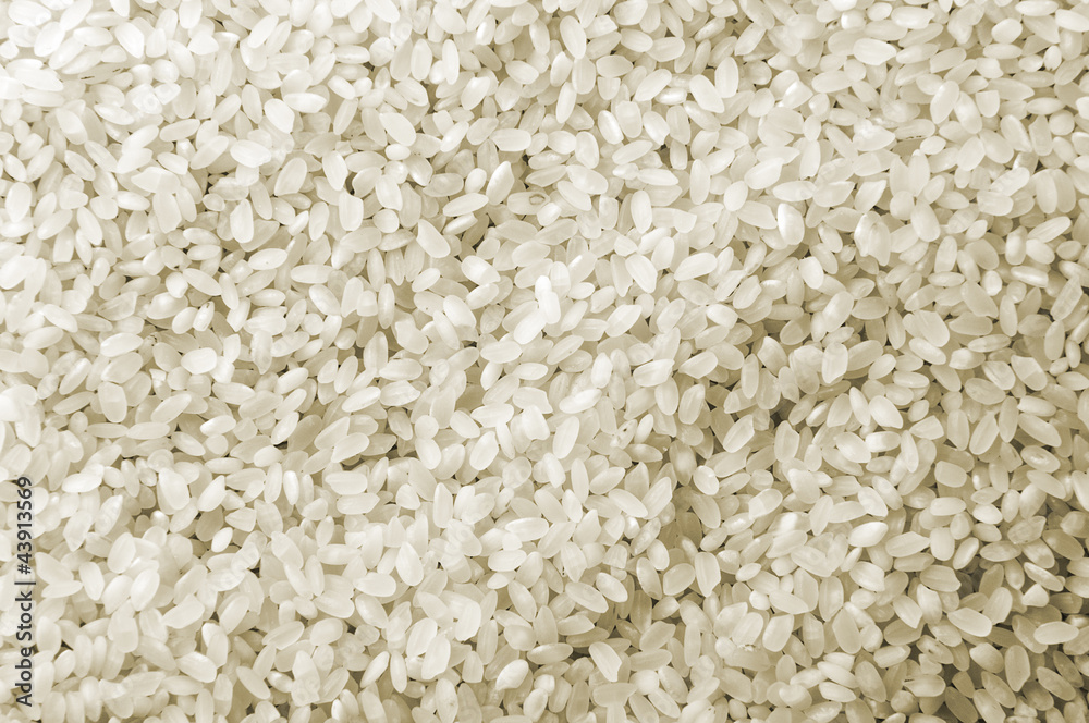 White Rice Texture White Rice Texture