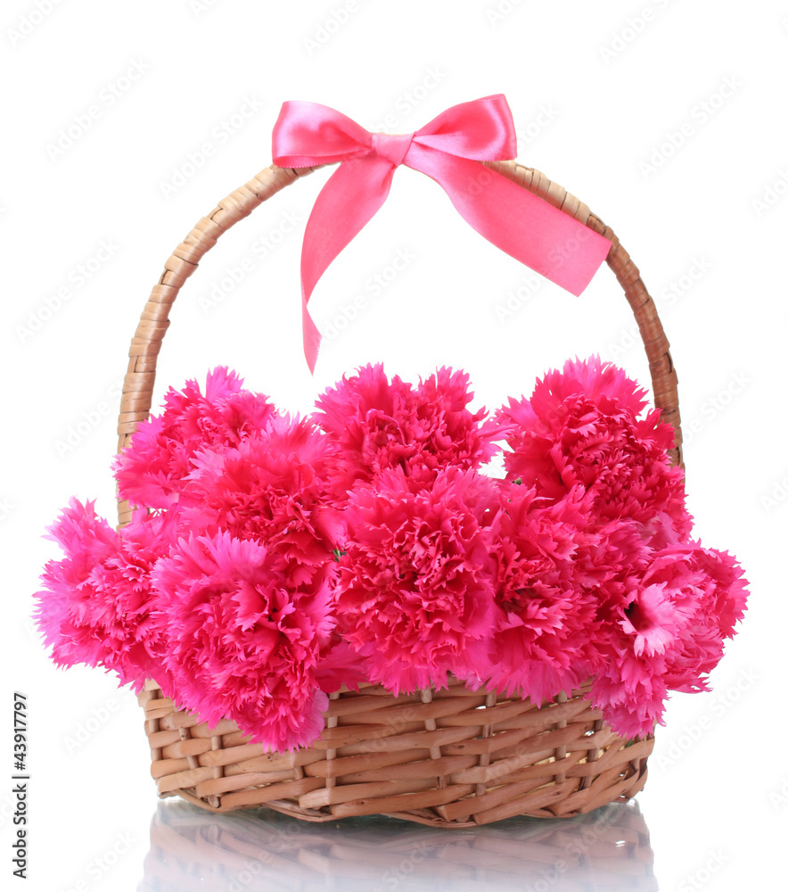Beautiful pink carnations in basket isolated on white Beautiful pink carnations in basket isolated on white