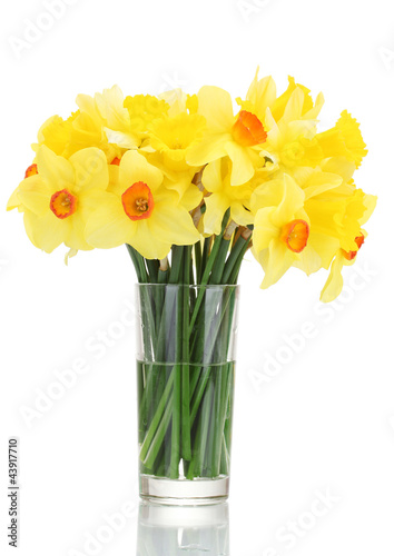 Fototapeta Naklejka Na Ścianę i Meble -  beautiful yellow daffodils in transparent vase isolated on