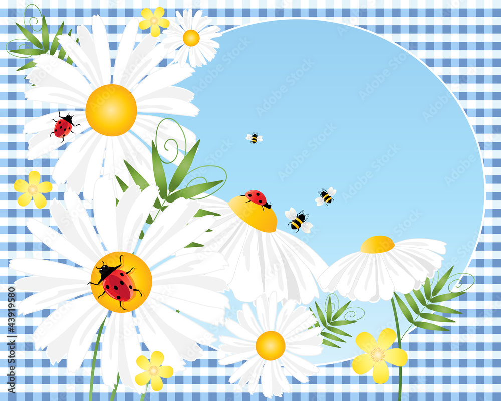 ladybugs and daisies