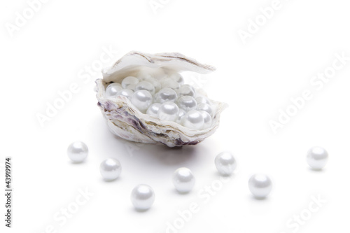 Perlen in einer Auster