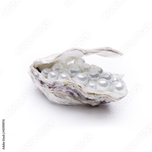 Perlen in einer Auster