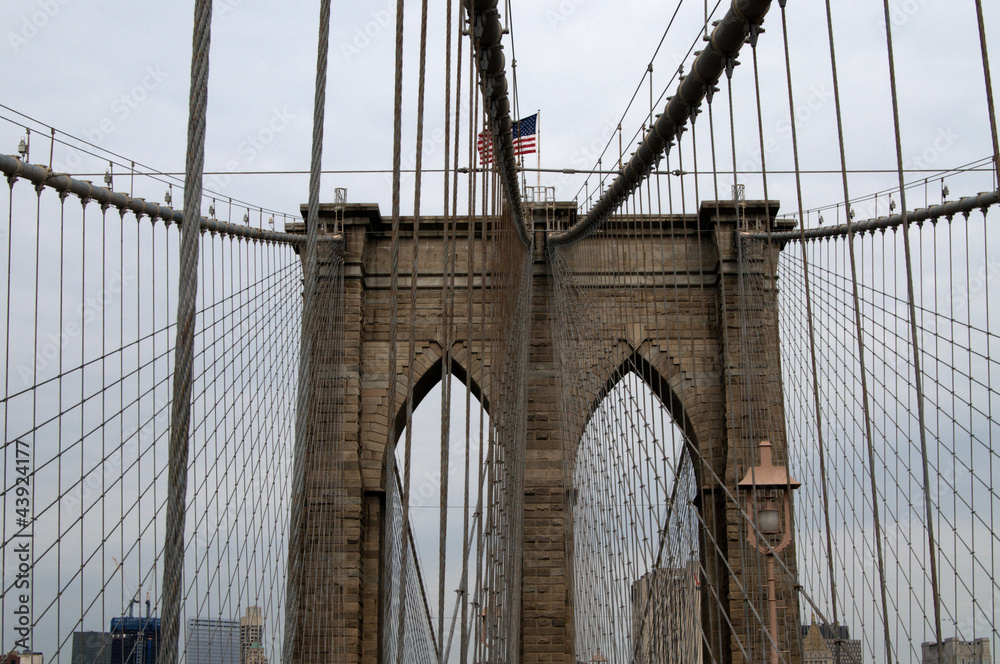 Fototapeta premium usa