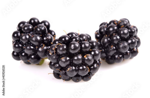 fresh blackberry Isolated on white background..