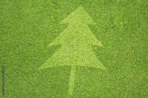 Christmas tree on green grass background