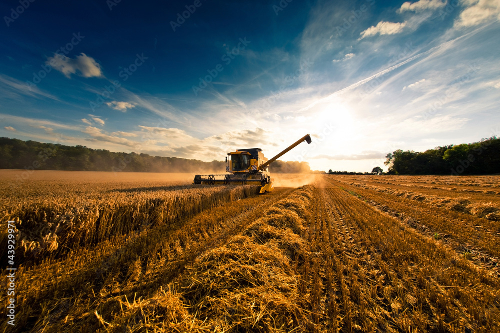 Obraz premium moisson engin agricole2