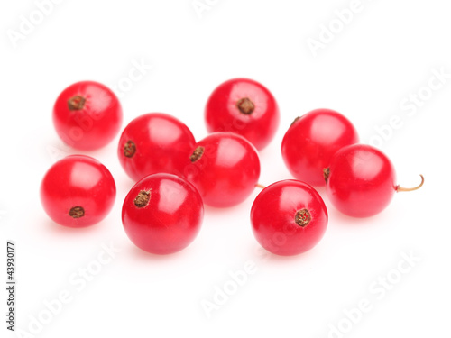 Berry of currant