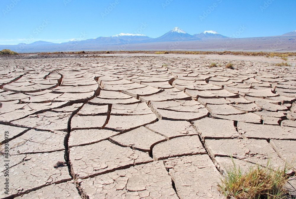 Fototapeta premium Cracked Mud in Atacama Desert