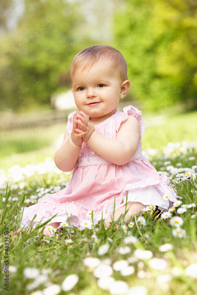 Baby Girl In Summer Dress Sitting In Field Baby Girl In Summer Dress Sitting In Field