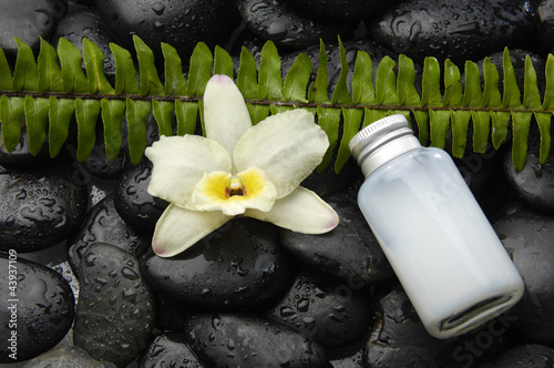 fern leaf with white orchid and massage oil on black pebble