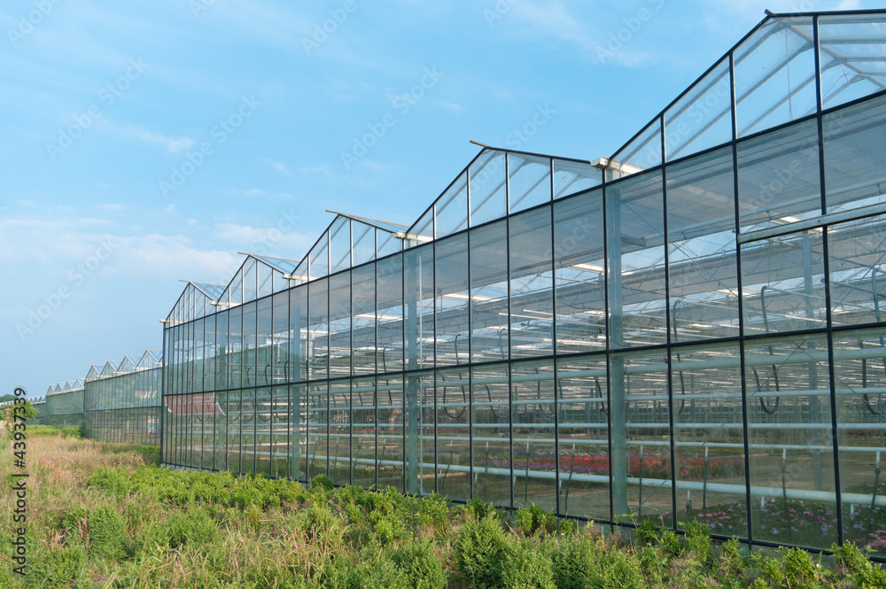 greenhouse